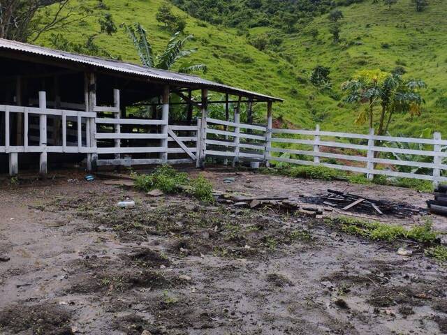 #1081 - Chácara para Venda em Ipatinga - MG - 1