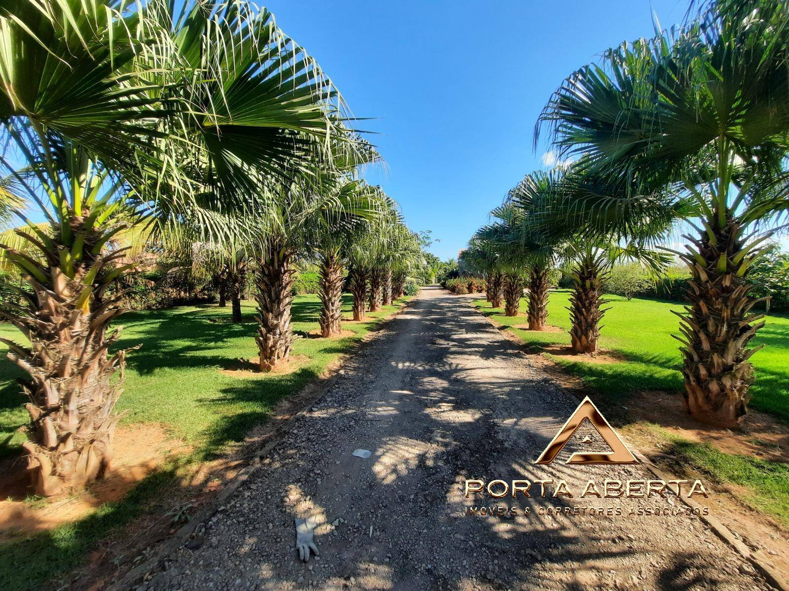 Terreno à venda, 4000m² - Foto 17