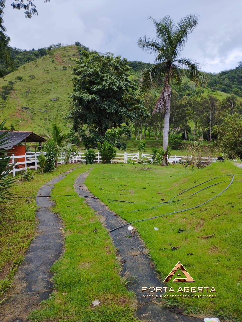 Terreno à venda com 3 quartos, 25000m² - Foto 3