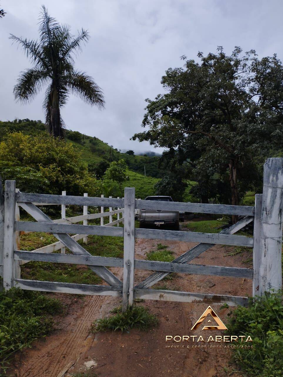 Terreno à venda com 3 quartos, 25000m² - Foto 6